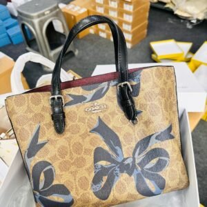 First Copy Bags COACH WILLOW 3