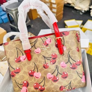 First Copy Bags COACH WILLOW 4